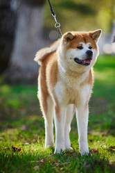 Similar image 22038133