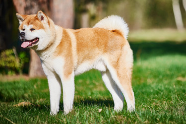 Similar image 22038137