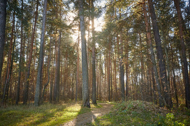 Similar image 22038138