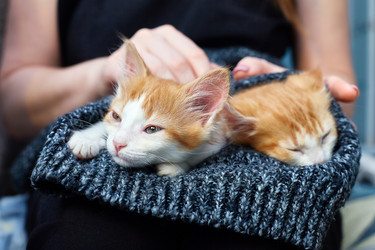 Similar image 22038154