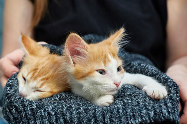 Similar image 22038155