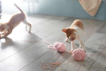 Similar image 22038156