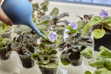 Similar image 22038161