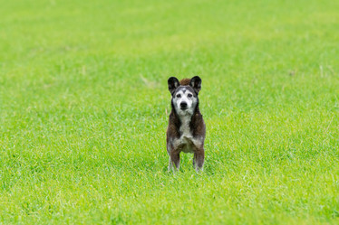 Similar image 22036952