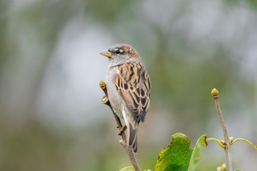 Similar image 22036955