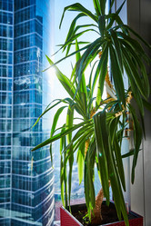 Similar image 22038177