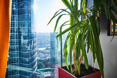 Similar image 22038178