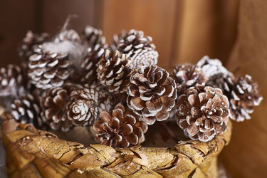 Similar image 22038276