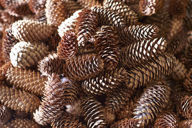 Similar image 22038277