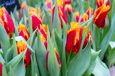 Similar image 22050890