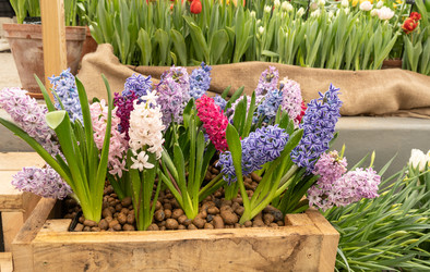 Similar image 22050892