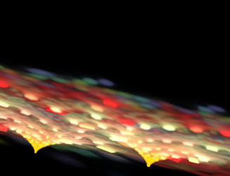 Similar image 22037297