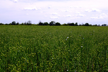 Similar image 22038004