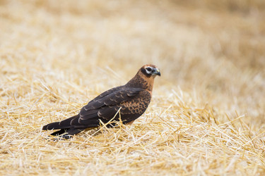 Similar image 22037167