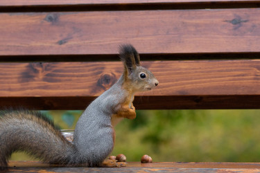 Similar image 22037180