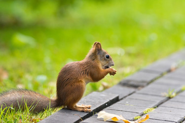 Similar image 22037181