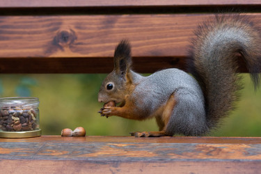 Similar image 22037182