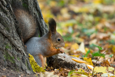 Similar image 22037202