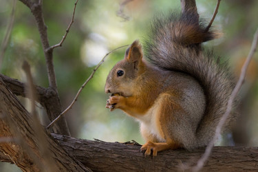 Similar image 22037204