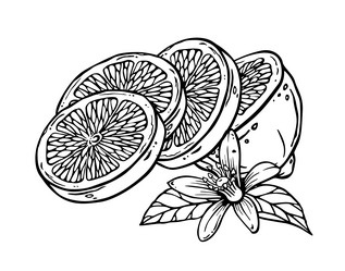 Similar image 22037031