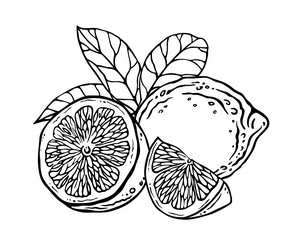 Similar image 22037032