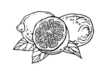 Similar image 22037033