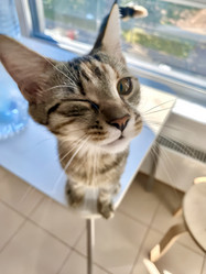 Similar image 22042060