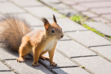 Similar image 22037219