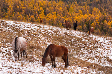 Similar image 22040851