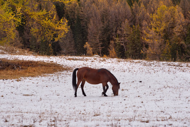 Similar image 22040852