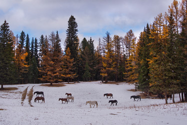 Similar image 22040853