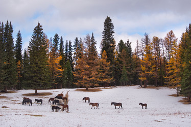 Similar image 22040854