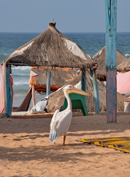 Similar image 22054488