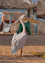 Similar image 22054489