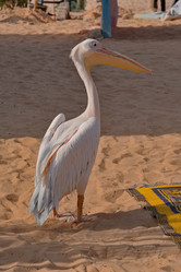 Similar image 22054490