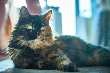 Similar image 22040399