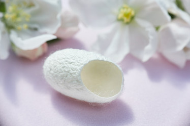 Similar image 22040401