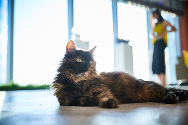 Similar image 22040402