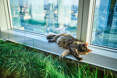 Similar image 22040585