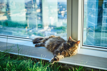 Similar image 22040586