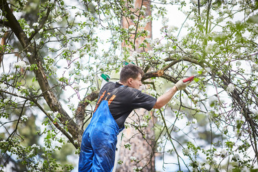 Similar image 22040612