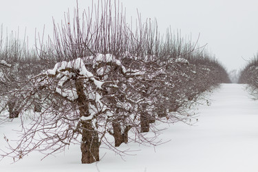 Similar image 22041353