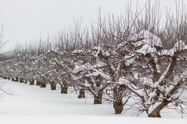 Similar image 22041354