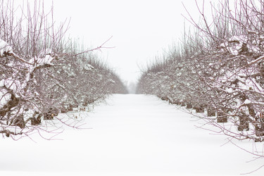 Similar image 22041355