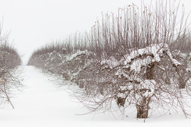 Similar image 22041357