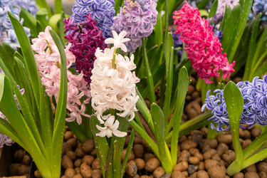 Similar image 22050893