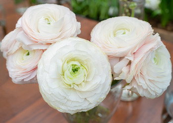 Similar image 22050894