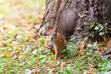 Similar image 22040172