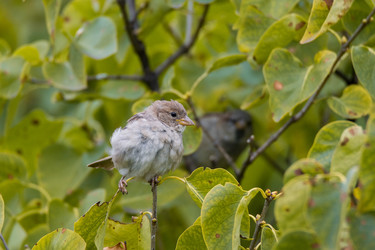 Similar image 22040181