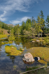 Similar image 22040855